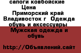 сапоги ковбойские › Цена ­ 4 000 - Приморский край, Владивосток г. Одежда, обувь и аксессуары » Мужская одежда и обувь   
